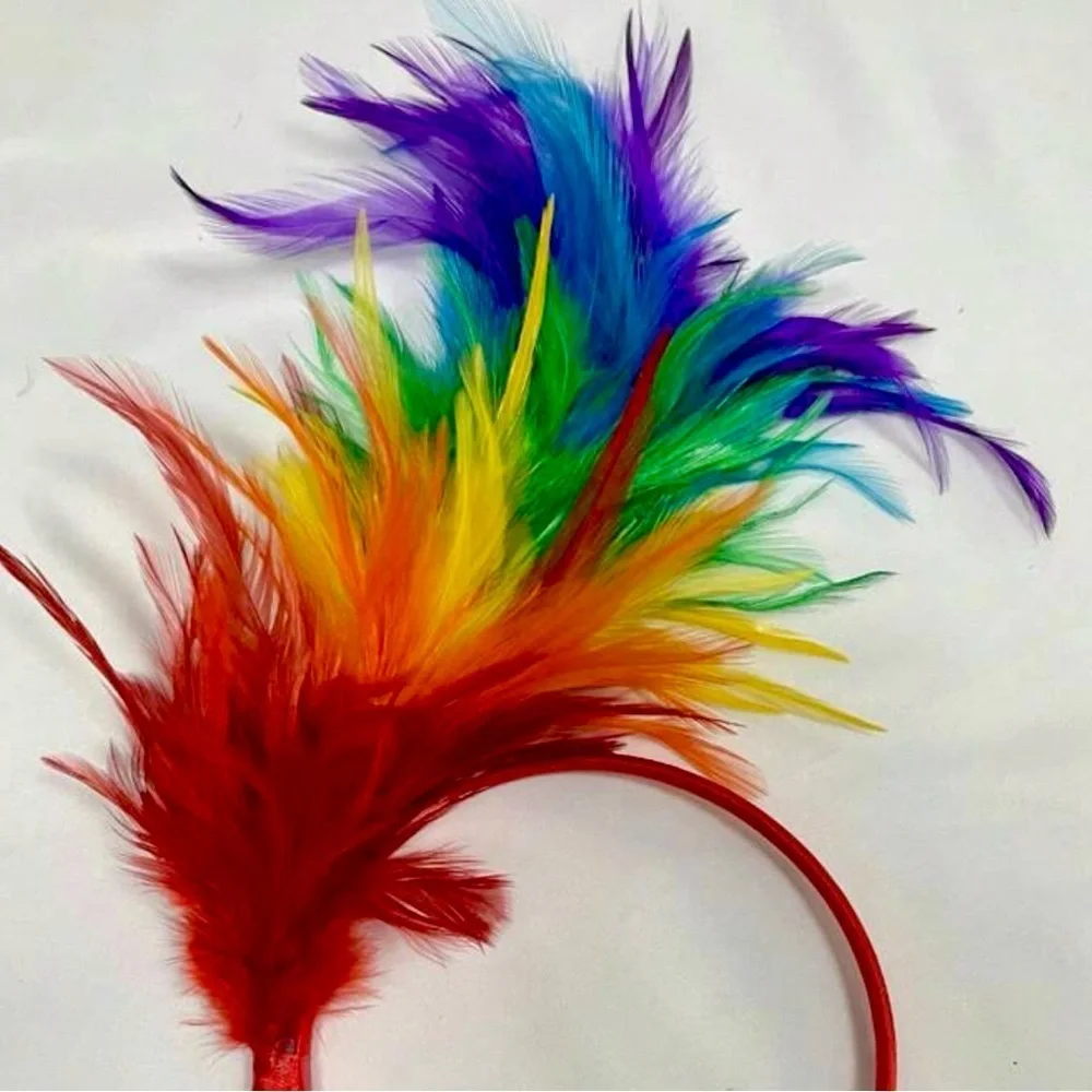 Brand New Vibrant Rainbow Feather Headband - 10.2